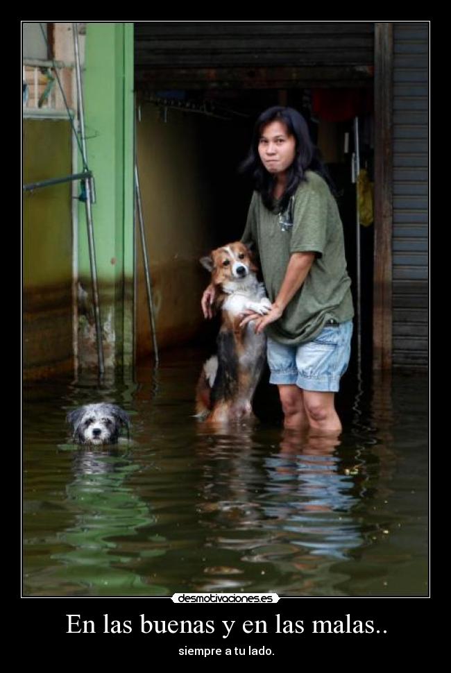 En las buenas y en las malas.. -
