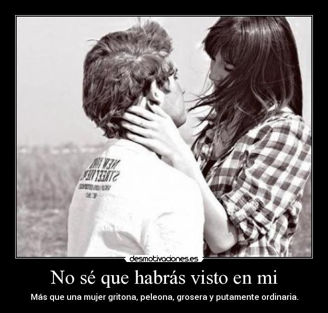 No sé que habrás visto en mi - Más que una mujer gritona, peleona, grosera y putamente ordinaria.