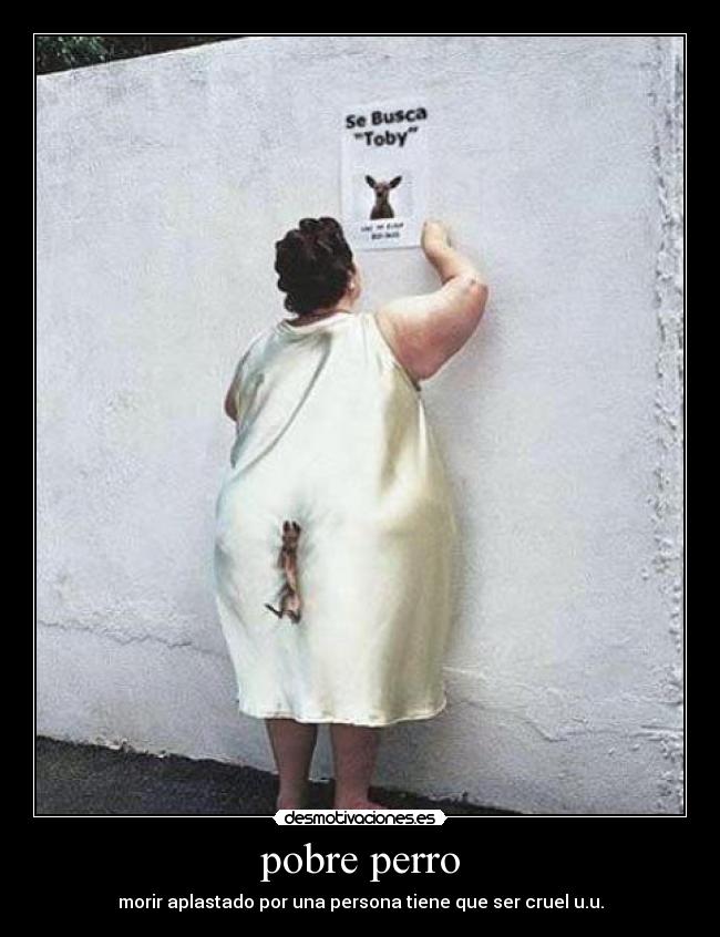 pobre perro - morir aplastado por una persona tiene que ser cruel u.u.