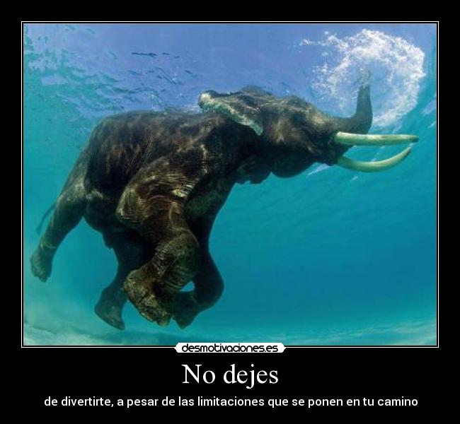 No dejes - de divertirte, a pesar de las limitaciones que se ponen en tu camino