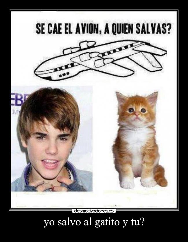 yo salvo al gatito y tu? - 