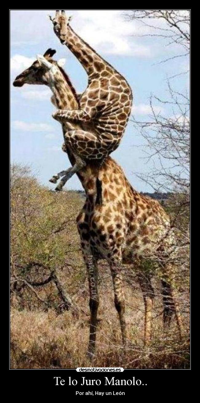 Te lo Juro Manolo.. - 