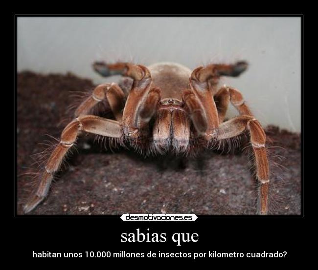 carteles reflexiona desmotivaciones