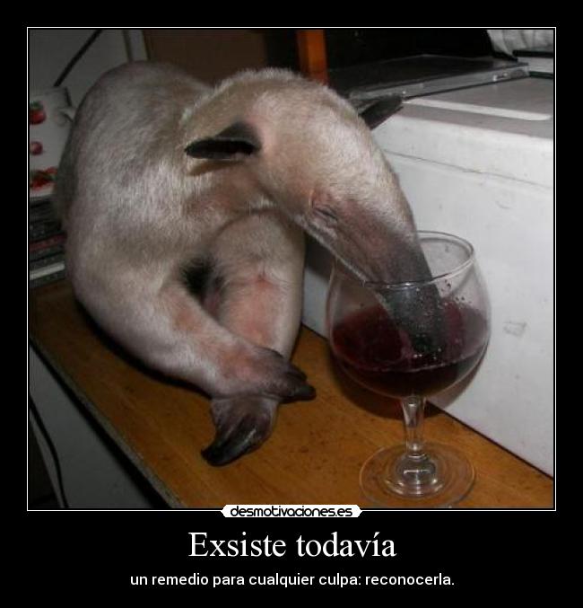 Exsiste todavía - un remedio para cualquier culpa: reconocerla.