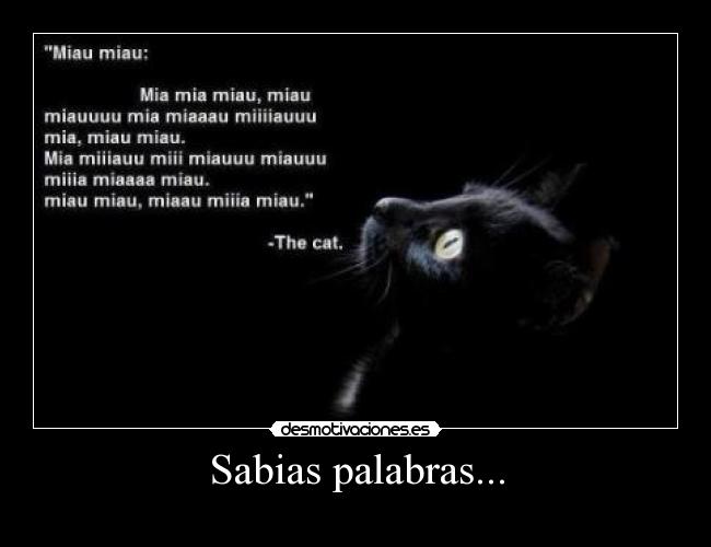 carteles zzzzzz desmotivaciones