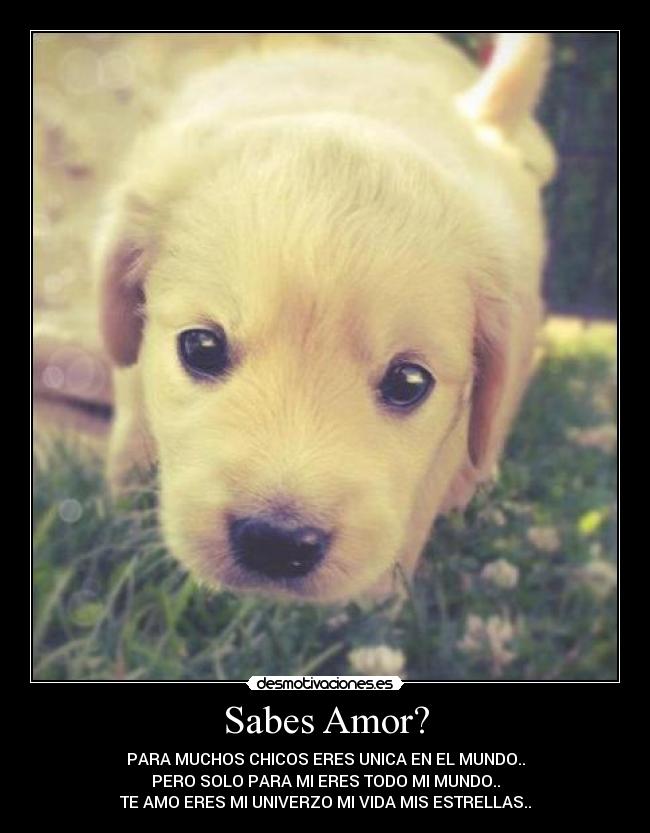 Sabes Amor? -