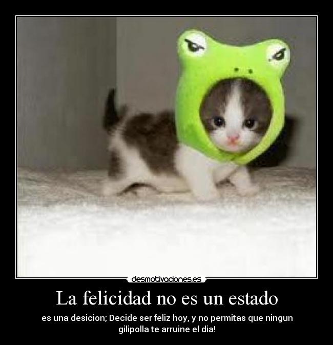 La felicidad no es un estado - es una desicion; Decide ser feliz hoy, y no permitas que ningun
gilipolla te arruine el dia!