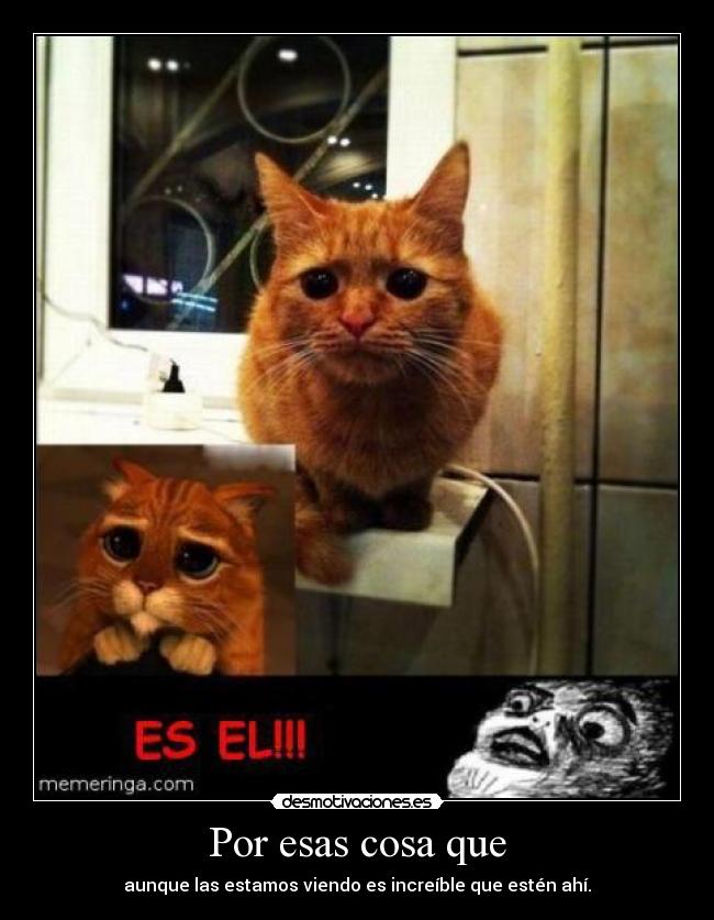 carteles desmotivaciones