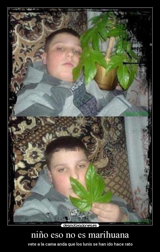 niño eso no es marihuana - 