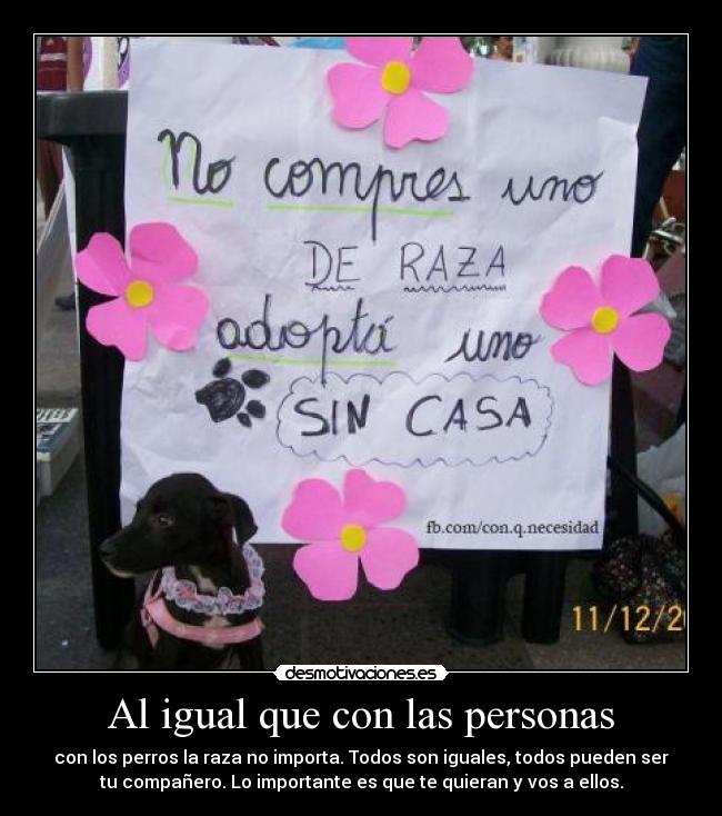 Al igual que con las personas - con los perros la raza no importa. Todos son iguales, todos pueden ser
tu compañero. Lo importante es que te quieran y vos a ellos.