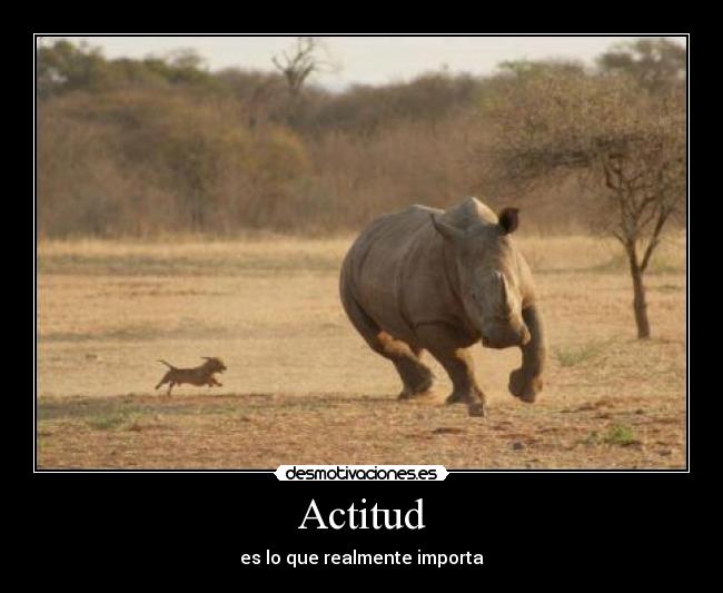 carteles actitud desmotivaciones