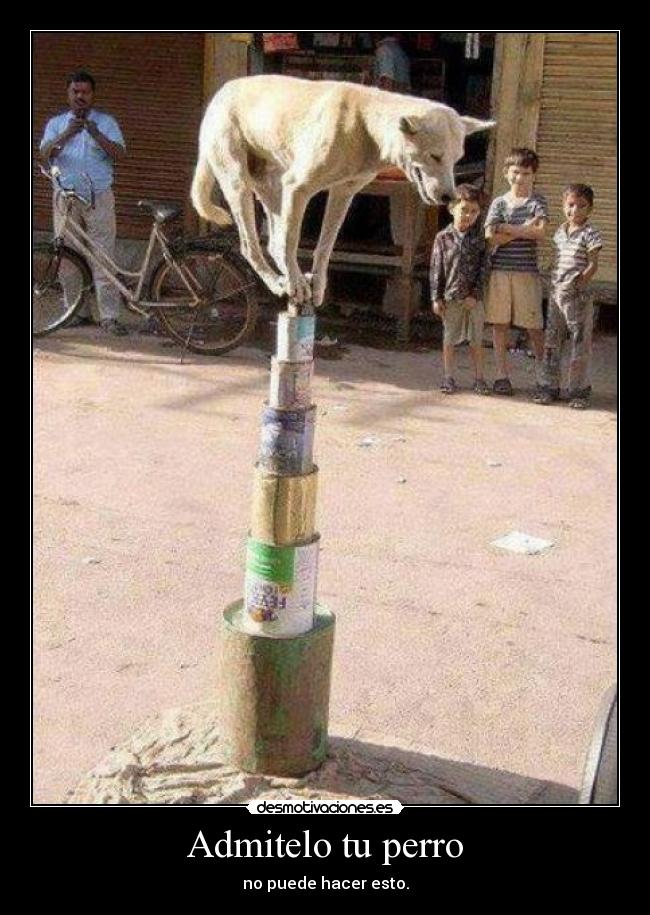 Admitelo tu perro - no puede hacer esto.