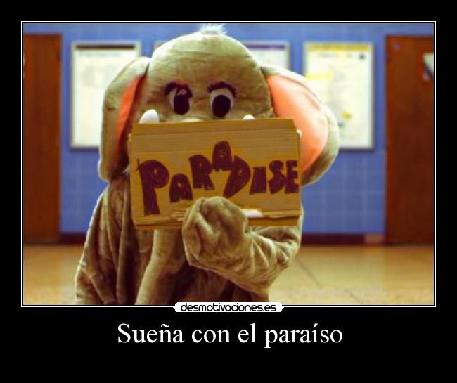 Sueña con el paraíso - 