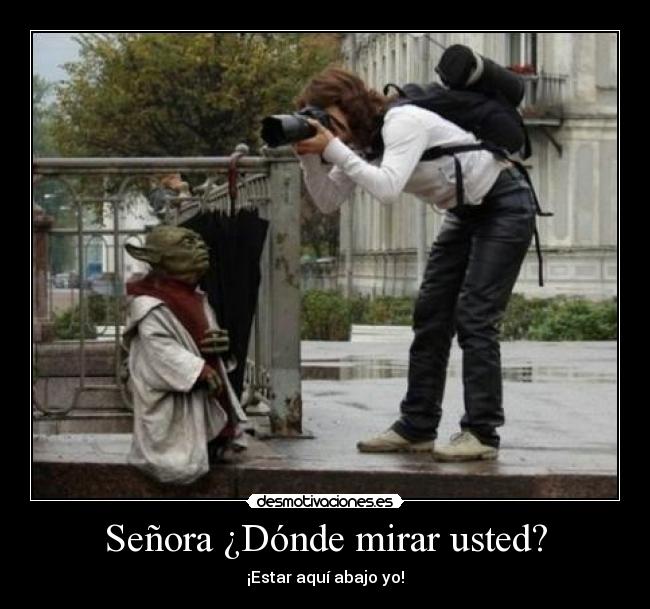 Señora ¿Dónde mirar usted? - ¡Estar aquí abajo yo!