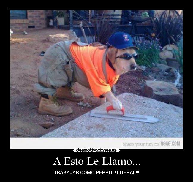 A Esto Le Llamo... - TRABAJAR COMO PERRO!!! LITERAL!!!