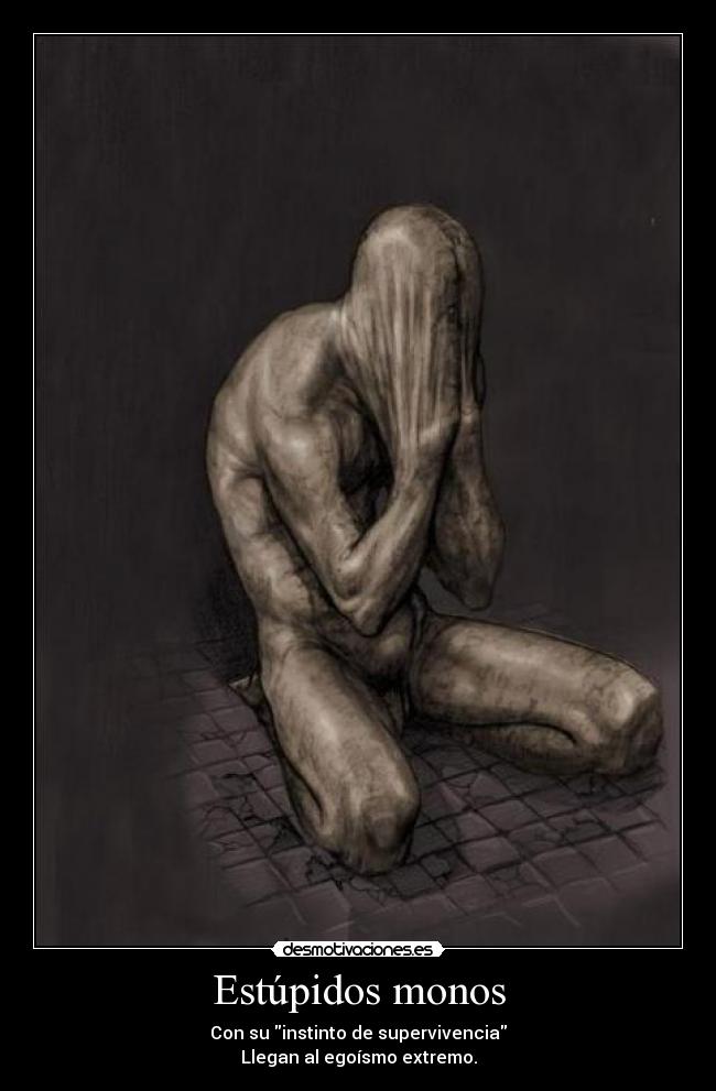 Estúpidos monos - 