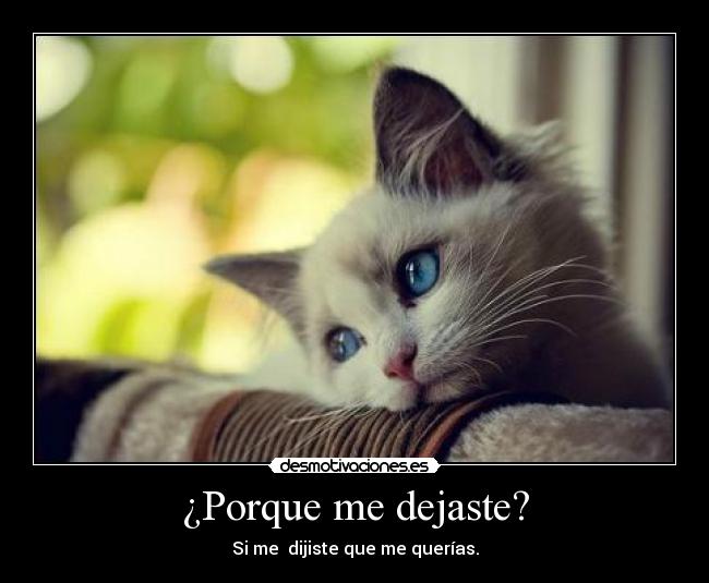 carteles 123 desmotivaciones