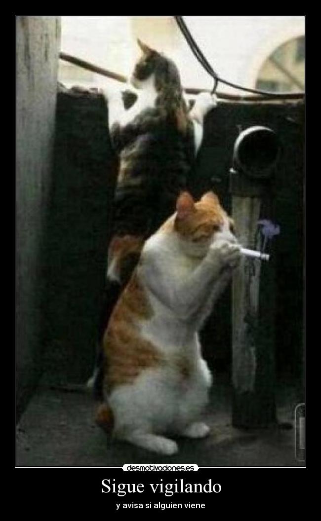 Sigue vigilando - y avisa si alguien viene