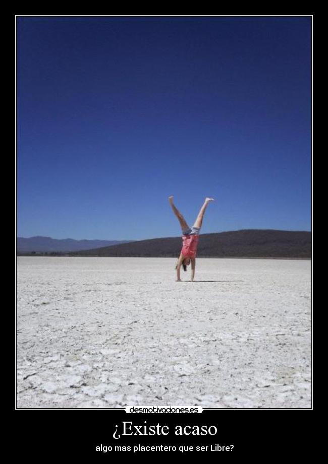 carteles yocreoqueno libertad placer holamama desmotivaciones