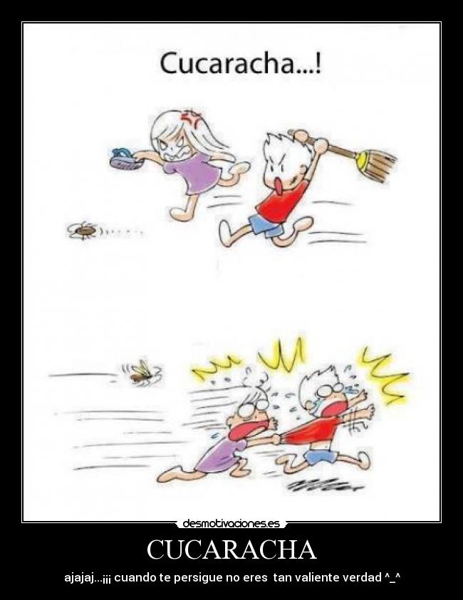 CUCARACHA - ajajaj...¡¡¡ cuando te persigue no eres  tan valiente verdad ^_^