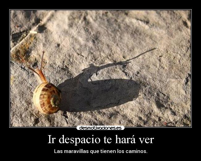 Ir despacio te hará ver - Las maravillas que tienen los caminos.