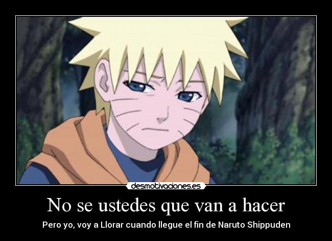 No se ustedes que van a hacer -