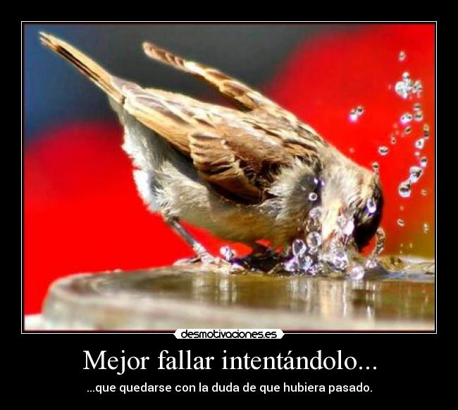 carteles mejor fallar intentandolo desmotivaciones