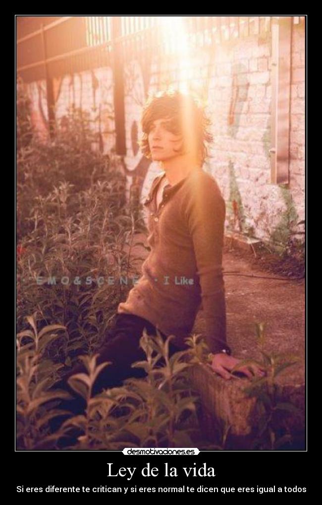 Ley de la vida - Si eres diferente te critican y si eres normal te dicen que eres igual a todos