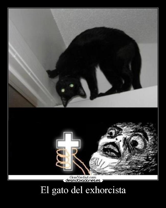 carteles gatosdel exhorcista desmotivaciones
