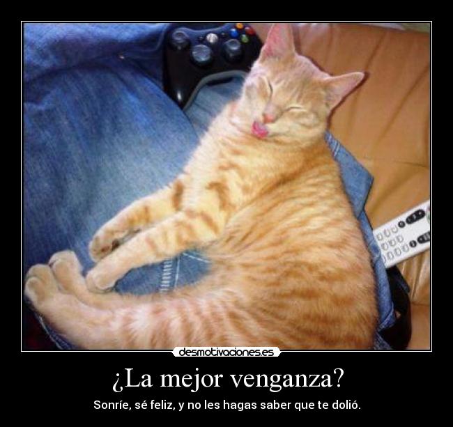 ¿La mejor venganza? -
