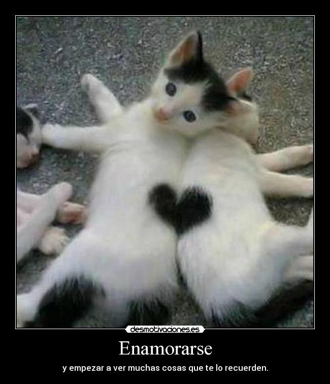 Enamorarse -