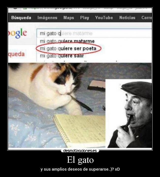 El gato - y sus amplios deseos de superarse..)? xD