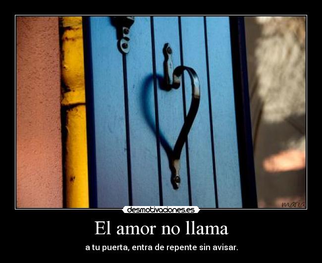El amor no llama -