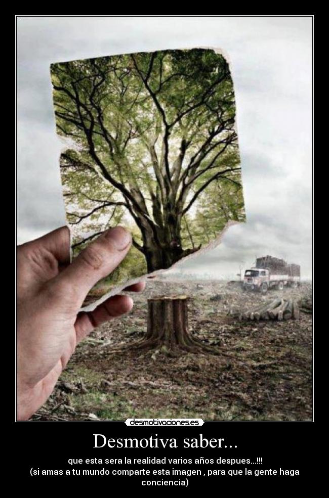 Desmotiva saber... -