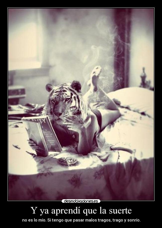 carteles partyrock desmotivaciones