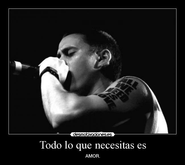 Todo lo que necesitas es -