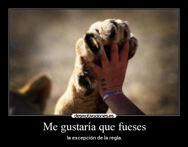 Me gustaría que fueses -