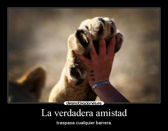 carteles amistad 2desmoconcurso gotian desmotivaciones