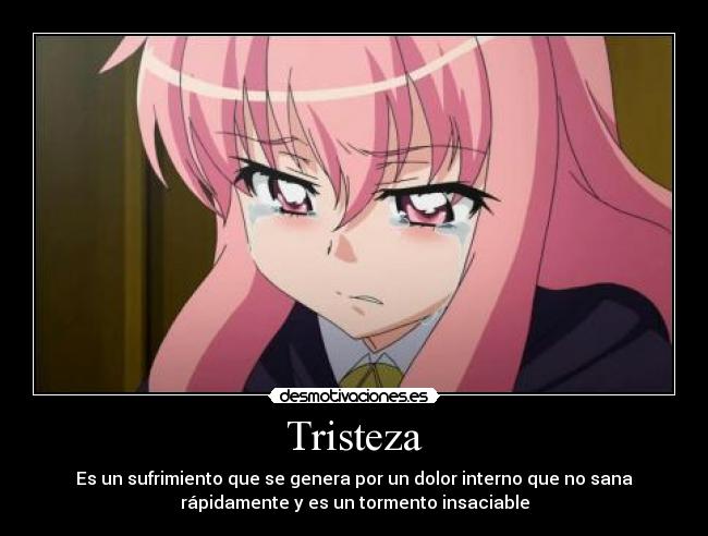 Tristeza - Es un sufrimiento que se genera por un dolor interno que no sana
rápidamente y es un tormento insaciable