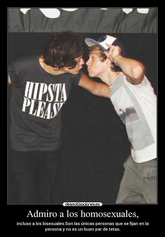 Admiro a los homosexuales, -