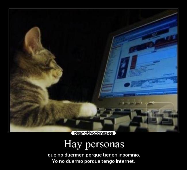 Hay personas - que no duermen porque tienen insomnio.
Yo no duermo porque tengo Internet.