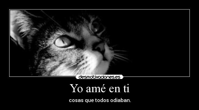 Yo amé en ti - cosas que todos odiaban.