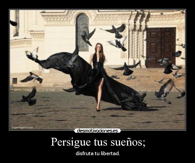 Persigue tus sueños; -