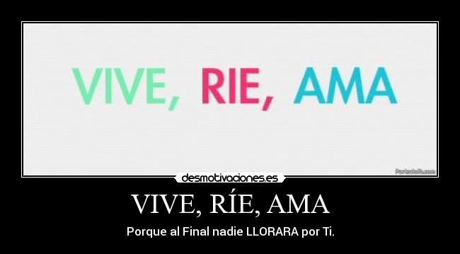 carteles vive rie ama fina nadie llorara por desmotivaciones