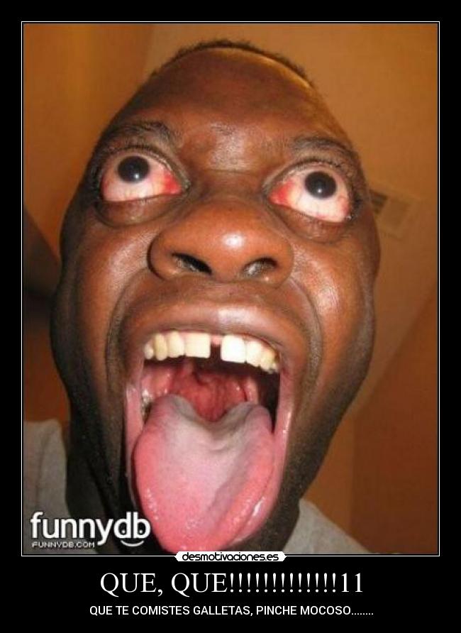 QUE, QUE!!!!!!!!!!!!!11 - QUE TE COMISTES GALLETAS, PINCHE MOCOSO........