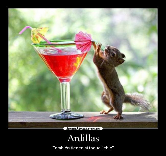 carteles ardillas desmotivaciones