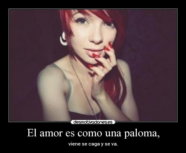 El amor es como una paloma, -