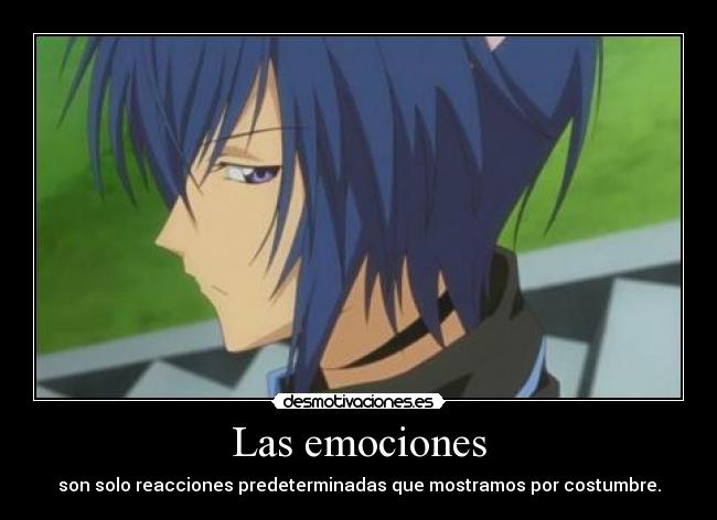 carteles anime ikuto tsukiyomi shugo chara emociones desmotivaciones