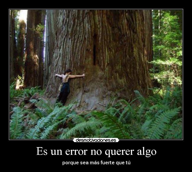 Es un error no querer algo - 