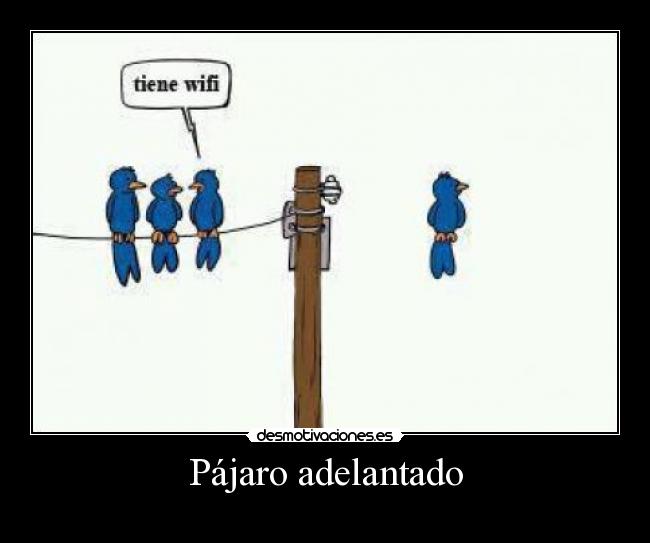 Pájaro adelantado -